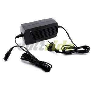 SXT Charger 48V 1,6 A