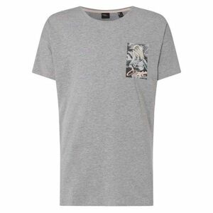 O'Neill LM FLOWER T-SHIRT Pánske tričko, sivá, veľkosť M