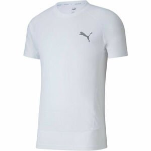 Puma EVOSTRIPE  TEE biela S - Pánske športové tričko