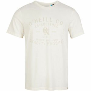 O'Neill LM ESTABLISHED T-SHIRT biela M - Pánske tričko