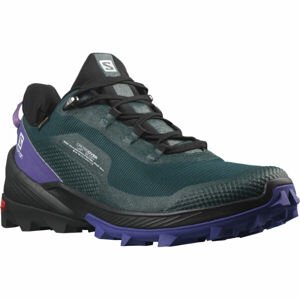 Salomon CROSS OVER GTX W Dámska turistická obuv, čierna, veľkosť 40 2/3