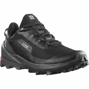 Salomon CROSS OVER GTX W Dámska turistická obuv, čierna, veľkosť 38 2/3